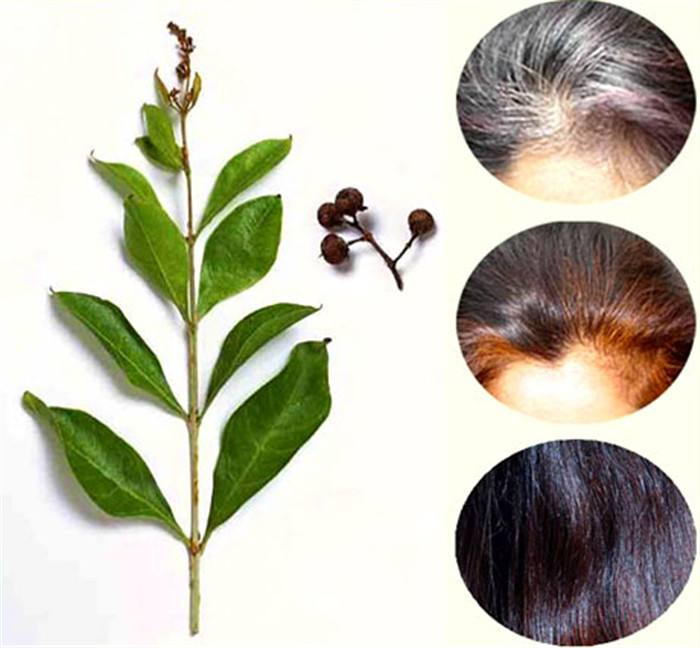 关于“植物染发”你知道多少?